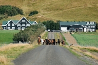 19090310_IcelandSeptember-3582